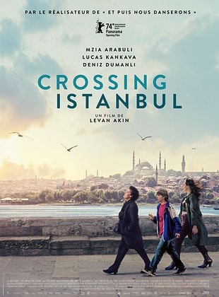 Crossing Istanbul